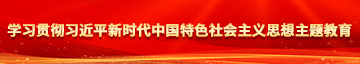 操批视频在线看学习贯彻习近平新时代中国特色社会主义思想主题教育